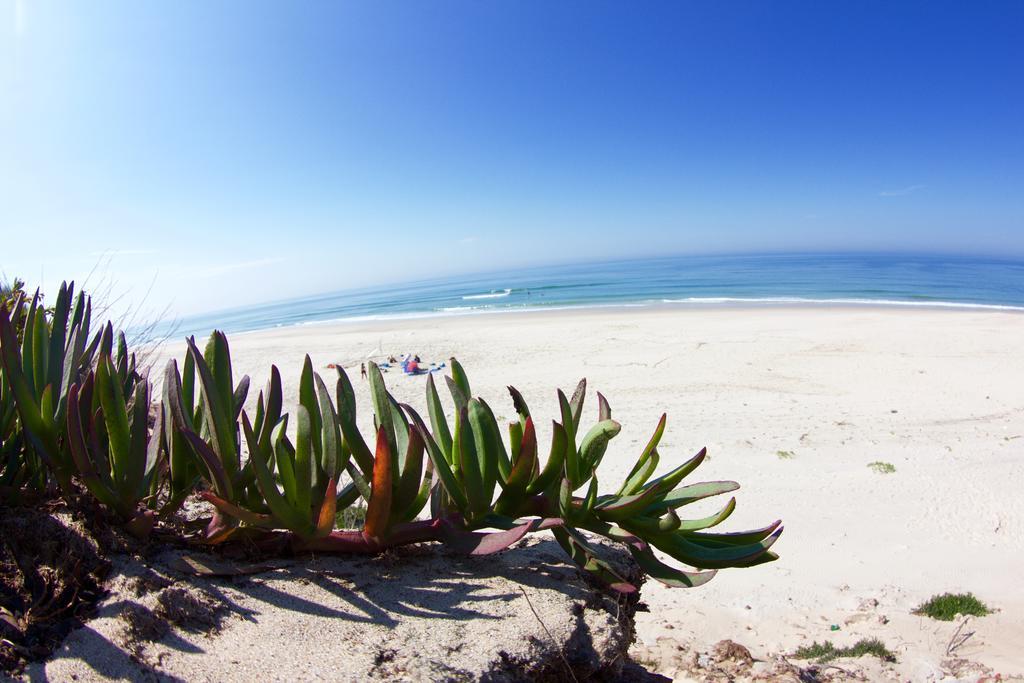 Oporto Surf Camp Hostel Esmoriz Zewnętrze zdjęcie